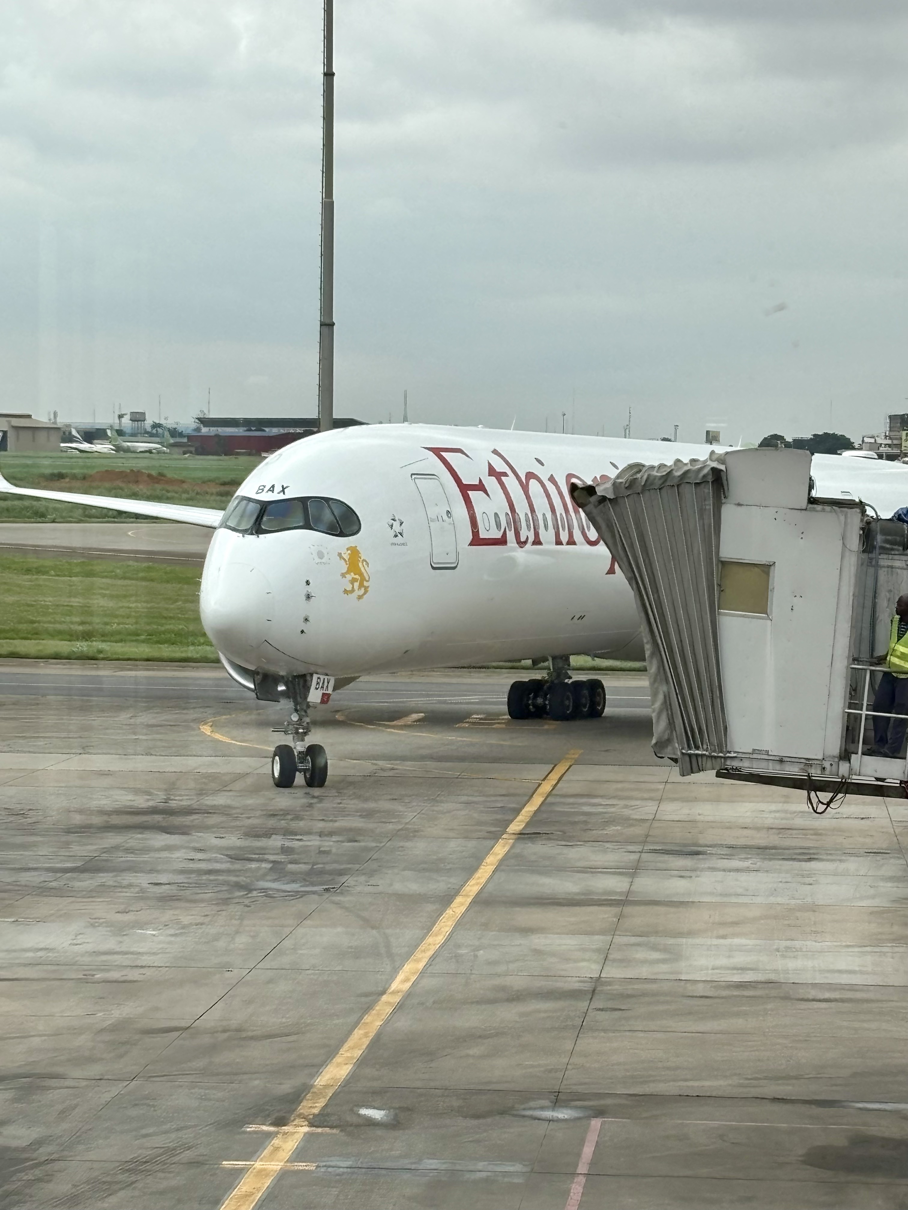 Two Flights, Two Philosophies: From the A350 to the 737 MAX